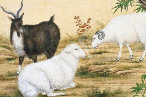 2015年属羊的是什么命与羊几月出生好的全部内容