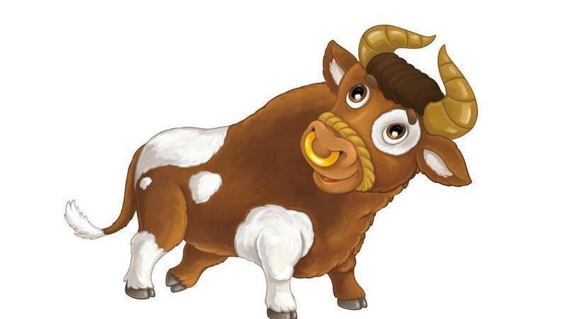 生肖牛是在十二生肖里面排行第二的一个生肖，你知道生肖牛人的性格特点是怎样的吗
