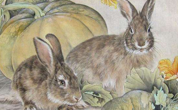 生肖鼠和生肖兔配不配的问题有哪些？