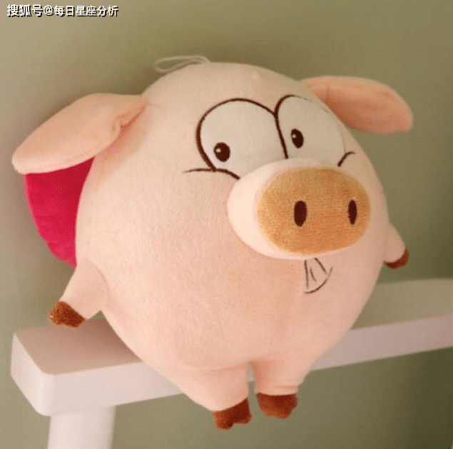 缘光风水：生肖属猪的几月犯月？