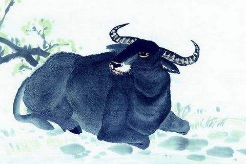 97年出生的属牛，早婚可能性大的生肖