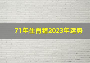 71年生肖猪2023年运势,71年属猪男2023年的运势和婚姻