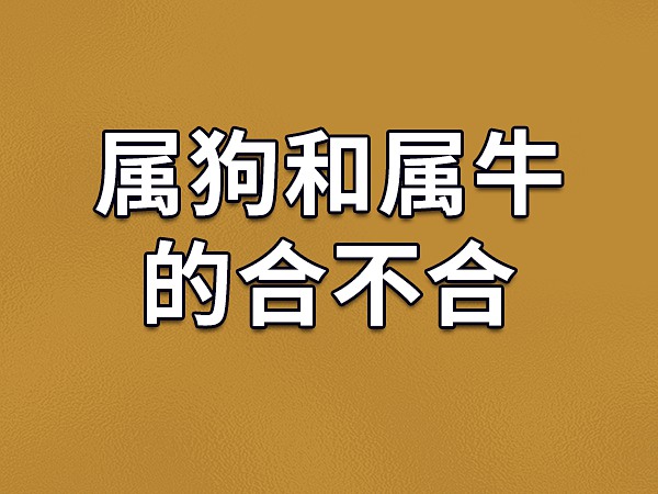 属相牛和属相狗婚姻相配吗?属狗的婚姻怎么样